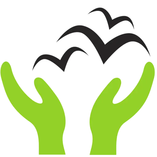 שחקים שריפת גופות